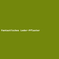 Fantastisches Leder-Pflaster