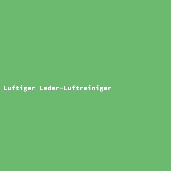 Airy Leather Air Purifier