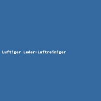 Luftiger Leder-Luftreiniger
